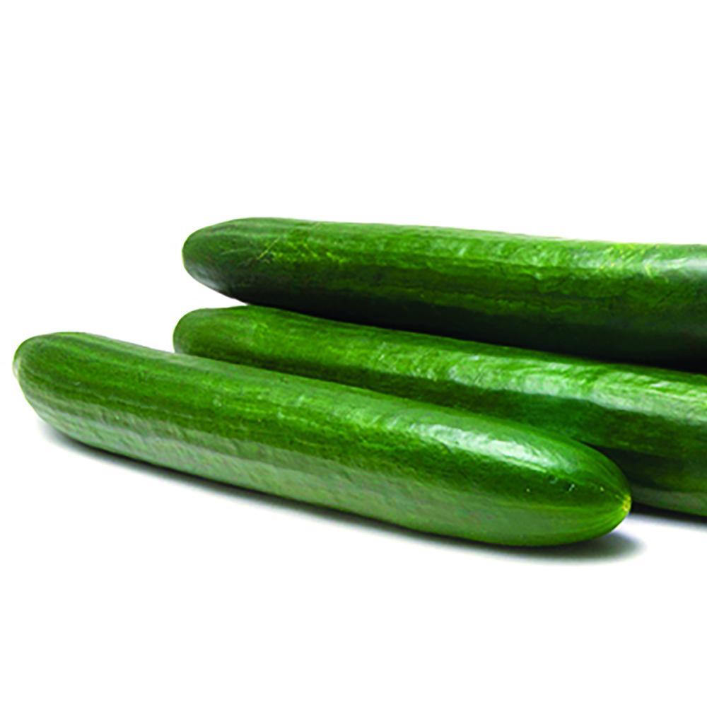 English Cucumbers 