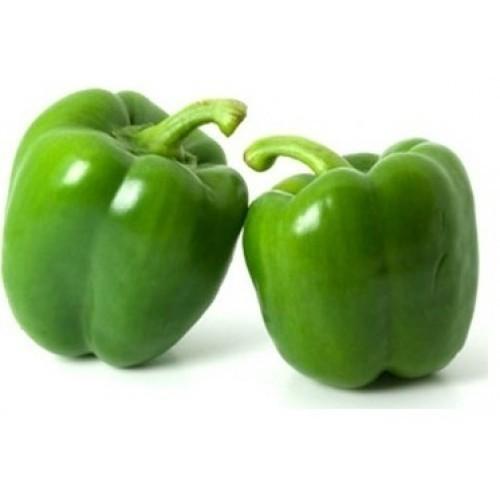 Green bell pepper / Capsicum