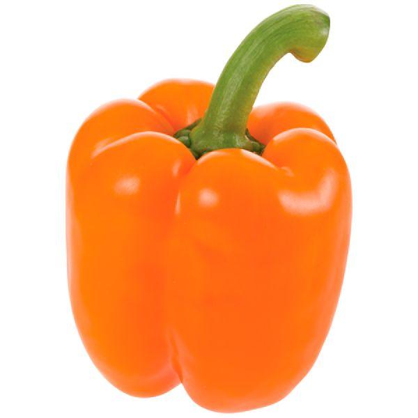 Orange bell pepper / Capsicum