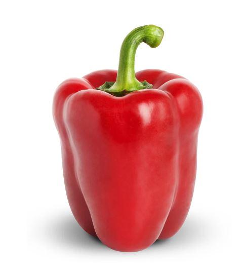 Red bell pepper / Capsicum